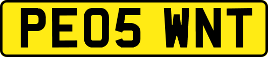 PE05WNT