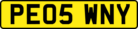 PE05WNY