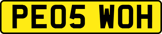 PE05WOH