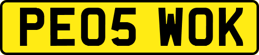 PE05WOK