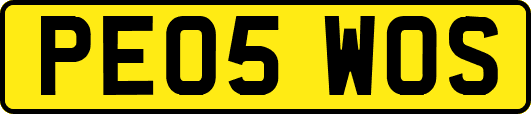 PE05WOS