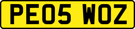 PE05WOZ