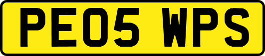 PE05WPS