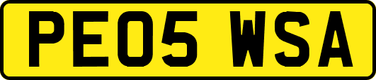 PE05WSA