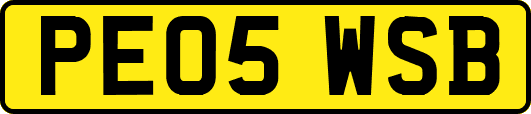 PE05WSB