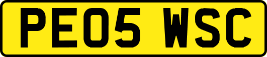PE05WSC