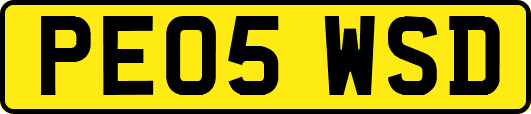 PE05WSD