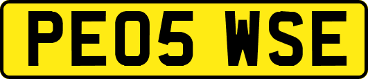 PE05WSE