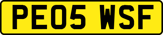 PE05WSF