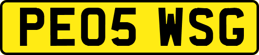 PE05WSG