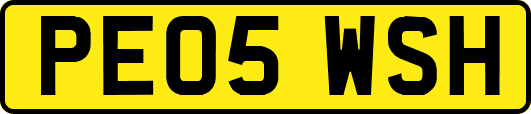 PE05WSH