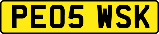 PE05WSK