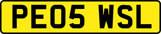 PE05WSL