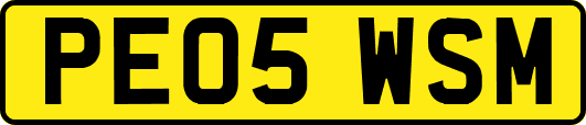 PE05WSM