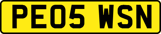 PE05WSN