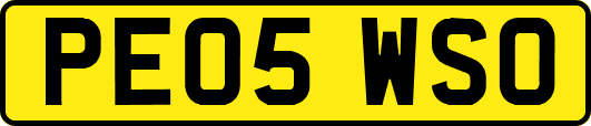 PE05WSO