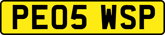 PE05WSP