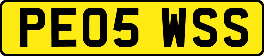PE05WSS