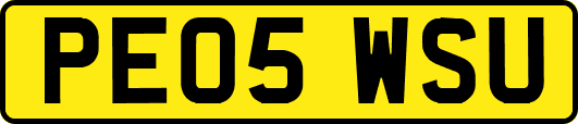 PE05WSU