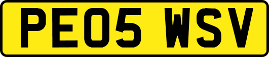 PE05WSV