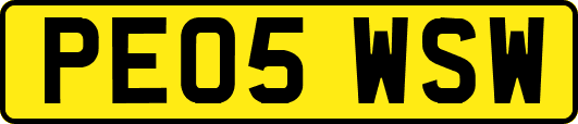PE05WSW