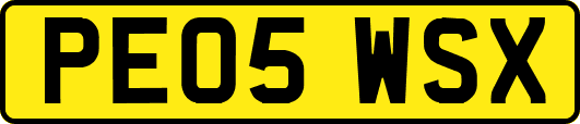 PE05WSX