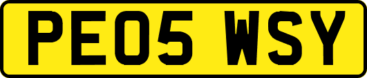 PE05WSY
