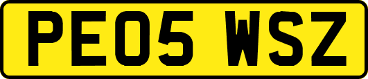 PE05WSZ