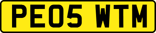 PE05WTM