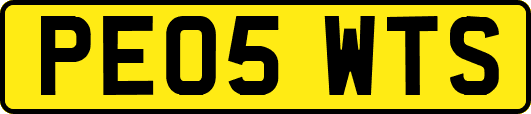 PE05WTS