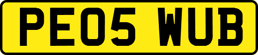 PE05WUB