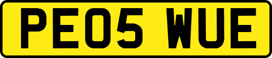 PE05WUE