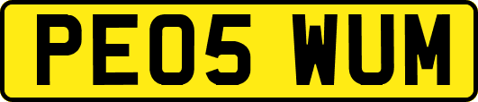 PE05WUM