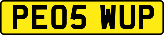 PE05WUP
