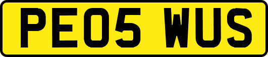 PE05WUS