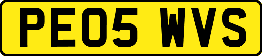 PE05WVS