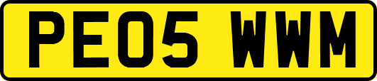 PE05WWM