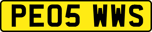 PE05WWS