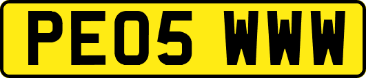 PE05WWW