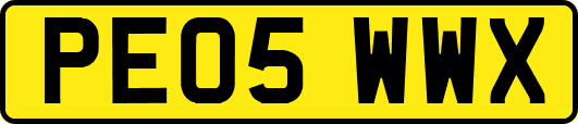 PE05WWX
