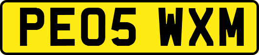 PE05WXM