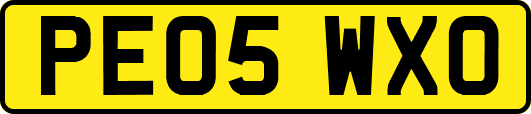 PE05WXO