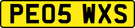 PE05WXS