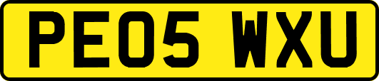 PE05WXU