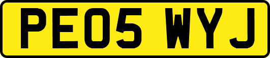 PE05WYJ
