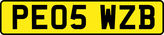 PE05WZB