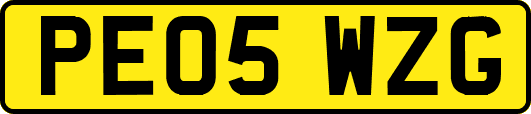 PE05WZG