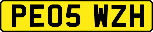 PE05WZH