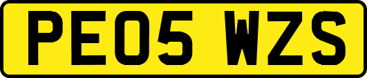 PE05WZS