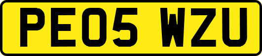 PE05WZU